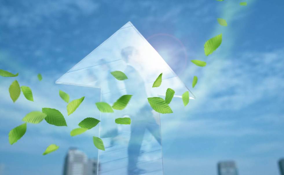 A picture shows fresh airs under the blue sky.